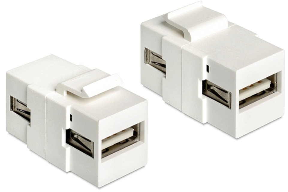 DeLOCK Keystone moduli, USB 2.o Typ A naa - USB Typ A naa, valkoinen