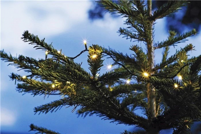 Paristokäyttöinen LED-silmukka ajastintoiminnolla, 6,45 m