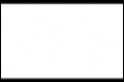 Akryylipohjainen maali Matt White (Flat) 22ml