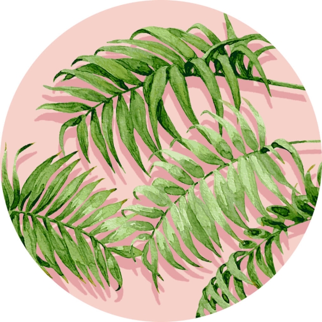 PopSockets Palm Shadows  Pidike/Jalusta