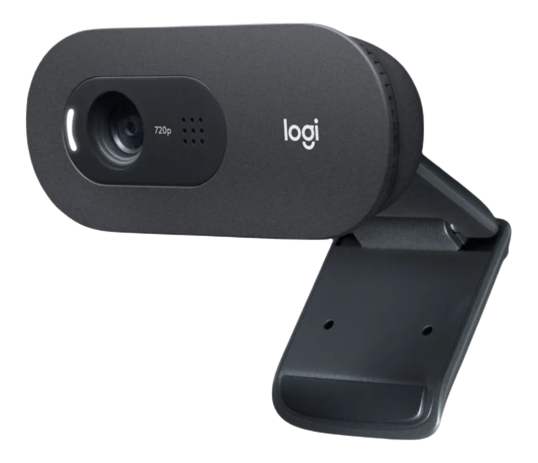 Logitech - C505e HD Webcam, brownbox