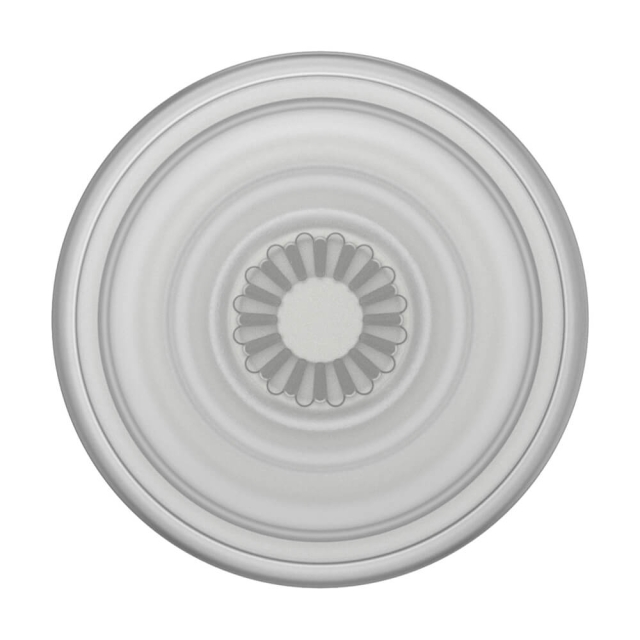 PopSockets PopGrip Plant Faded Stone