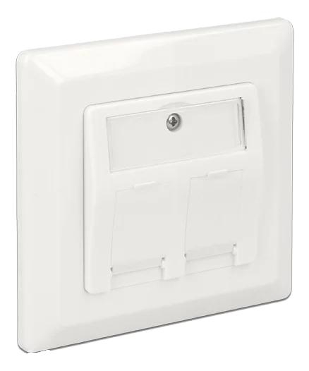 DeLOCK Keystone Wall Outlet 2 Port