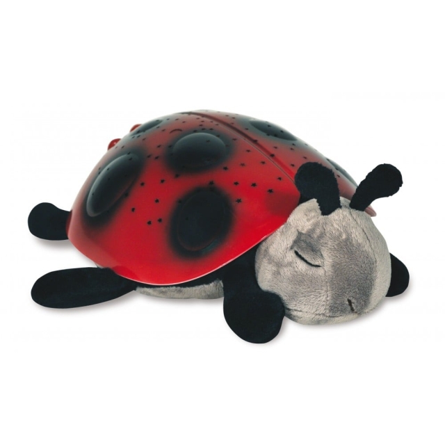 Cloud b Twilight Ladybug, punainen (CB7353-zz)