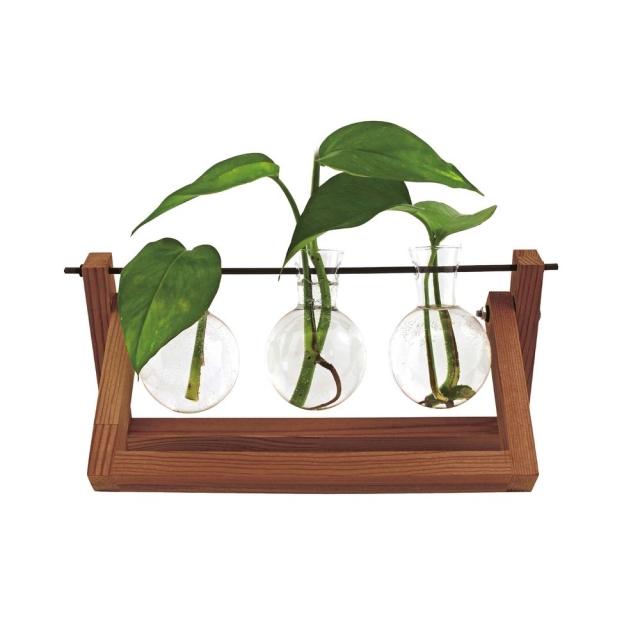 Winkee Hydro Vases Blossom - maljakko
