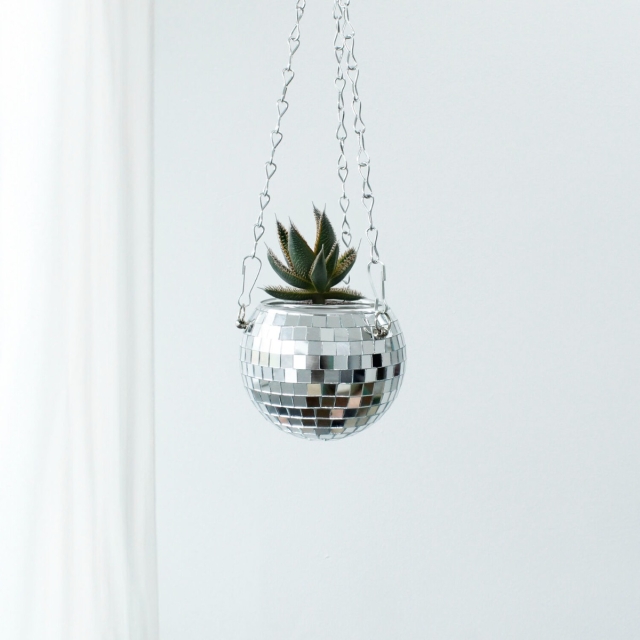 Winkee Istutin - Disco riippuva istutin - 10 cm