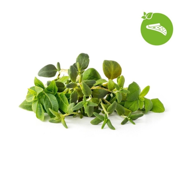 Click & Grow Smart Garden Refill 9-pack Italian yrttisekoitus