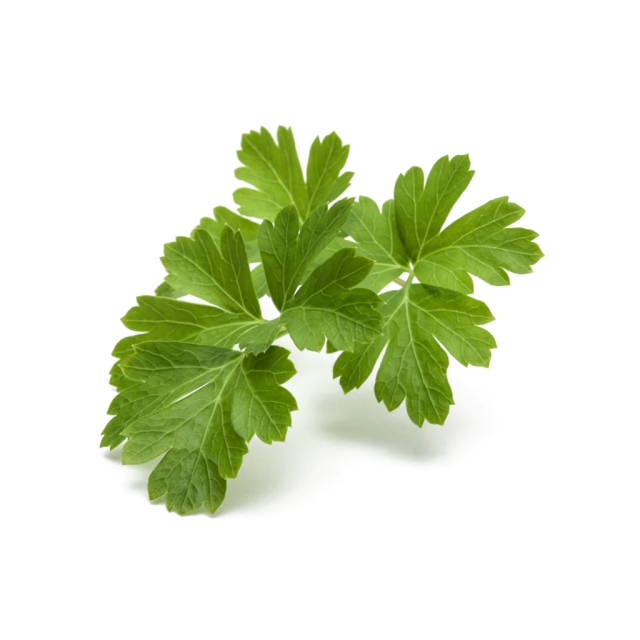 Click & Grow Smart Garden 3-pack tavallinen persilja