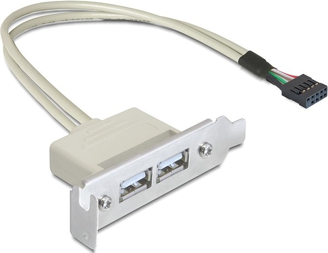 DeLOCK Slot bracket USB 2.0 low profile 2 port ryhmässä TIETOKOONET & TARVIKKEET / Kaapelit & Sovittimet / Sisäinen / USB @ TP E-commerce Nordic AB (38-19015)