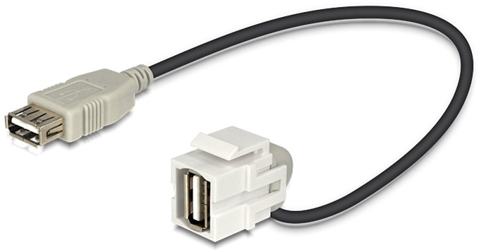 DeLOCK Keystone modul, USB 2.0 Typ A ho-USB Typ A ho, 0,2m kabel, grå ryhmässä TIETOKOONET & TARVIKKEET / Kaapelit & Sovittimet / Verkko / Sovittimet & Liittimet @ TP E-commerce Nordic AB (38-53093)