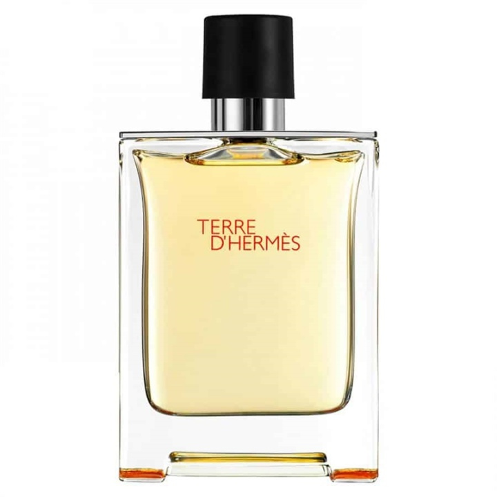 Hermes Terre d\'Hermes Edt 50ml ryhmässä KAUNEUS JA TERVEYS / Tuoksut & Parfyymit / Parfyymit / Miesten Tuoksut @ TP E-commerce Nordic AB (38-58448)