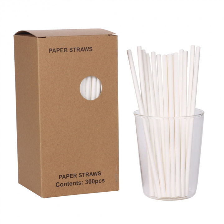 Disposable paper drinking straws, 300pcs ryhmässä LELUT, TUOTTEET LAPSILLE JA VAUVOILLE / Syö ja juo / Lastenjuhlat ja juhlat @ TP E-commerce Nordic AB (38-83192)