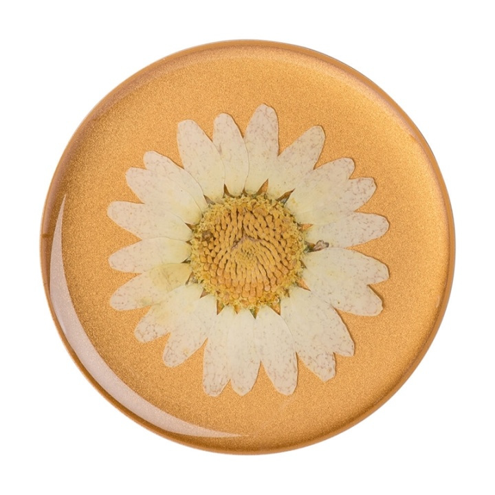 PopSockets Pressed Flower White Daisy Avtagbart Grip med Ställfunktion Premium ryhmässä ÄLYPUHELIMET JA TABLETIT / Muut tarvikkeet / Popsockets @ TP E-commerce Nordic AB (38-92140)
