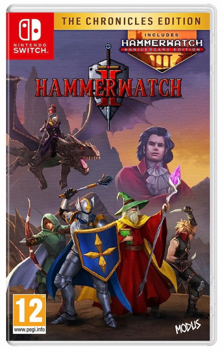 Hammerwatch II: The Chronicles Edition (Switch) ryhmässä KODINELEKTRONIIKKA / Pelikonsolit & Tarvikkeet / Nintendo Switch / Tarvikkeet @ TP E-commerce Nordic AB (38-98599)