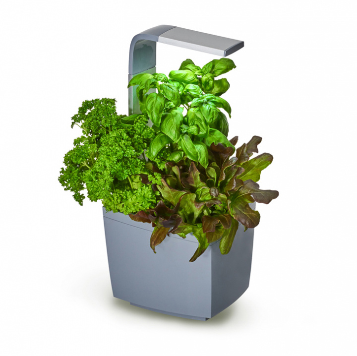 Tregren Kitchen Garden T3 Grå ryhmässä URHEILU, VAPAA-AIKA JA HARRASTUS / Hauskat tavarat / Älylaitteet @ TP E-commerce Nordic AB (A04810)