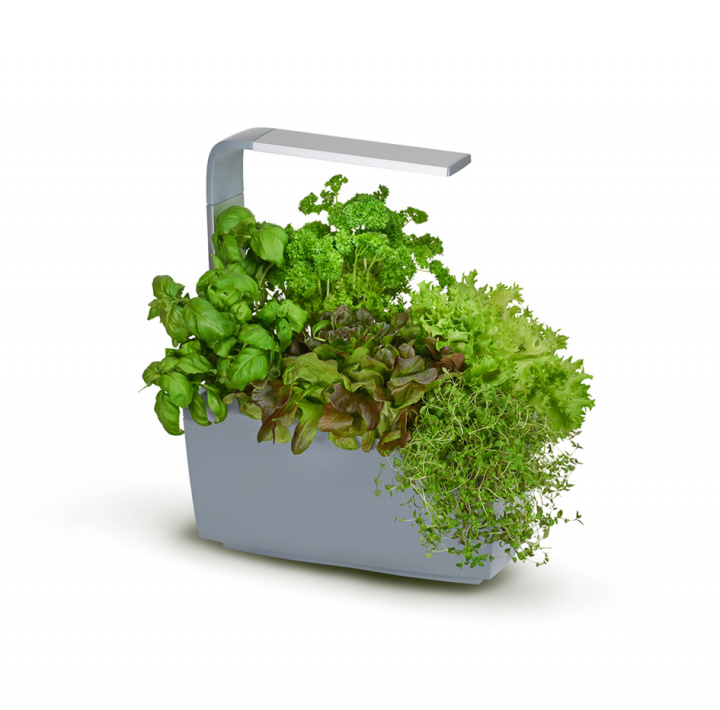 Tregren Kitchen Garden T6 Grå ryhmässä URHEILU, VAPAA-AIKA JA HARRASTUS / Hauskat tavarat / Älylaitteet @ TP E-commerce Nordic AB (A04813)