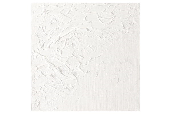 Artists Oil Col 200ML TITANIUM WHITE 644 ryhmässä URHEILU, VAPAA-AIKA JA HARRASTUS / Harrastus / Maalaa ja piirrä / Taiteilijavärit / Öljyvärit @ TP E-commerce Nordic AB (A08995)