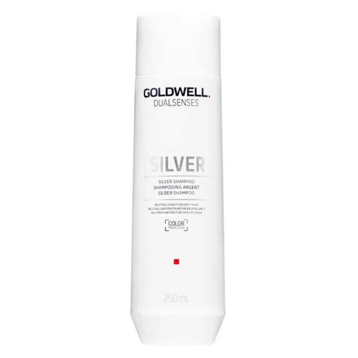 Goldwell Dualsenses Silver Shampoo 250ml ryhmässä KAUNEUS JA TERVEYS / Hiukset &Stailaus / Hiustenhoito / Hiusväri / Hopeinen shampoo @ TP E-commerce Nordic AB (A10950)