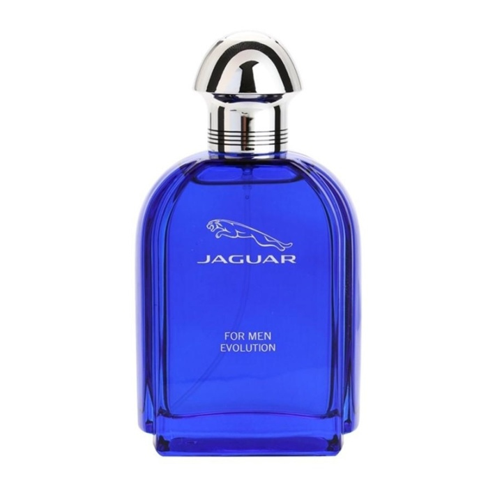 Jaguar For Men Evolution Edt 100ml ryhmässä KAUNEUS JA TERVEYS / Tuoksut & Parfyymit / Parfyymit / Miesten Tuoksut @ TP E-commerce Nordic AB (A11083)