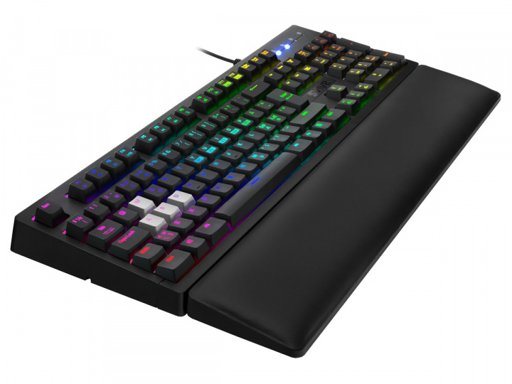 Svive Orcus Optisk RGB Gaming Tangentbord ryhmässä TIETOKOONET & TARVIKKEET / GAMING / Näppäimistöt @ TP E-commerce Nordic AB (A23085)