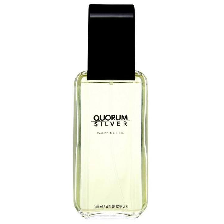 Antonio Puig Quorum Silver Edt 100ml ryhmässä KAUNEUS JA TERVEYS / Tuoksut & Parfyymit / Parfyymit / Miesten Tuoksut @ TP E-commerce Nordic AB (C03835)