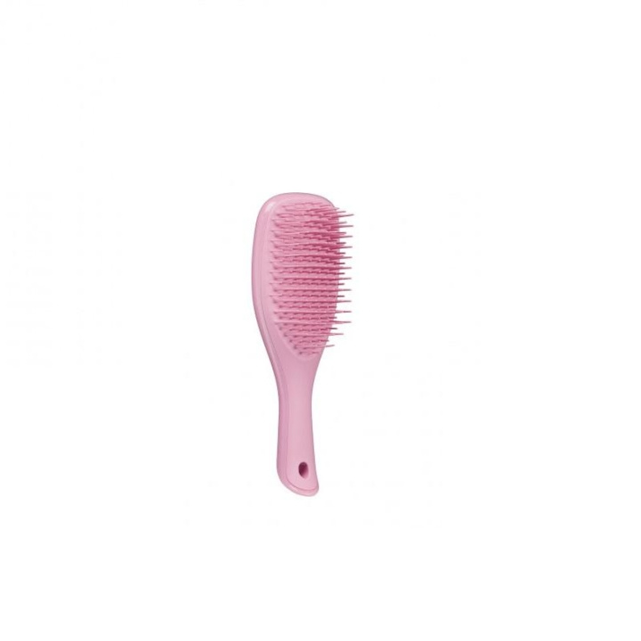 Tangle Teezer Wet Detangle Mini Glitter Pink ryhmässä KAUNEUS JA TERVEYS / Hiukset &Stailaus / Hiusharjat @ TP E-commerce Nordic AB (C05539)