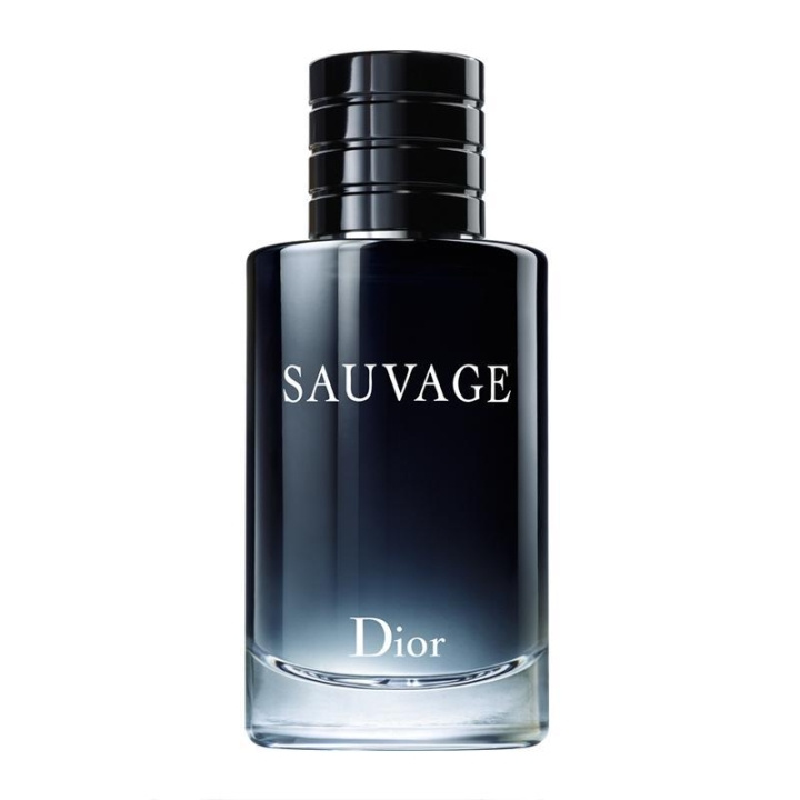 Dior Sauvage Parfym 100ml ryhmässä KAUNEUS JA TERVEYS / Tuoksut & Parfyymit / Parfyymit / Miesten Tuoksut @ TP E-commerce Nordic AB (C05922)