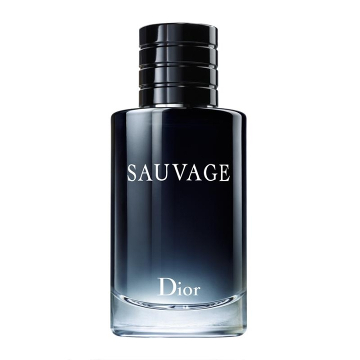 Dior Sauvage Parfum 60ml ryhmässä KAUNEUS JA TERVEYS / Tuoksut & Parfyymit / Parfyymit / Miesten Tuoksut @ TP E-commerce Nordic AB (C05923)