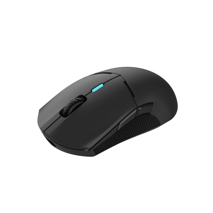 QPAD Gaming Mouse DX900 ryhmässä TIETOKOONET & TARVIKKEET / GAMING / Hiiret @ TP E-commerce Nordic AB (C06676)