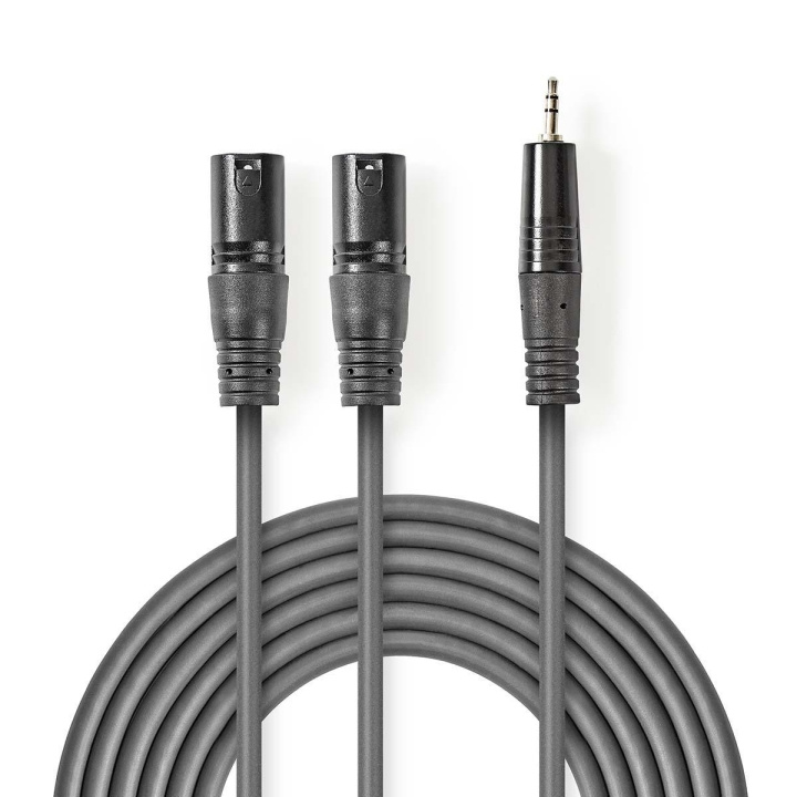 Nedis Balansoitu Audiojohto | 2x XLR 3-Pin uros | 3.5 mm uros | Niklattu | 1.50 m | Pyöreä | PVC | Tummanharmaa | Pahvikotelo ryhmässä KODINELEKTRONIIKKA / Kaapelit & Sovittimet / Analoginen ääni / Sovittimet @ TP E-commerce Nordic AB (C07570)