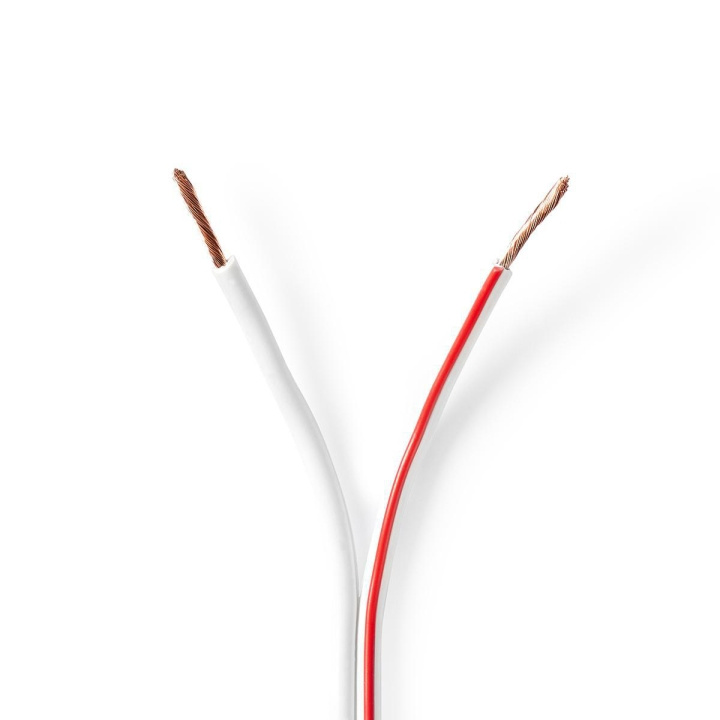 Nedis Kaiutinkaapeli | 2 x 1.50 mm² | CCA | 100.0 m | Pyöreä | PVC | Valkoinen | Kääre ryhmässä KODINELEKTRONIIKKA / Ääni & Kuva / Kaiuttimet & Tarvikkeet / Tarvikkeet @ TP E-commerce Nordic AB (C07686)