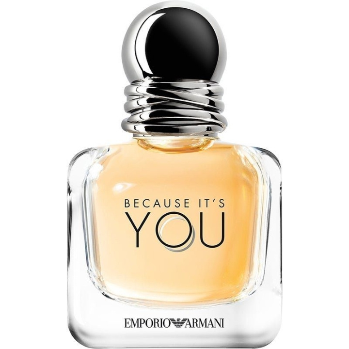 Giorgio Armani Because It\'s You Edp 50ml ryhmässä KAUNEUS JA TERVEYS / Tuoksut & Parfyymit / Parfyymit / Naisten Tuoksut @ TP E-commerce Nordic AB (C09679)