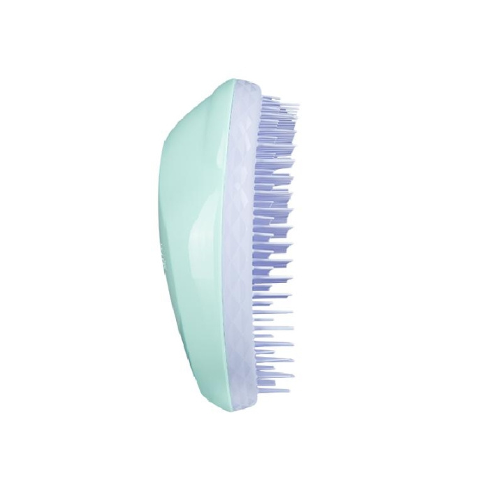 Tangle Teezer Fine & Fragile Mint/Lila ryhmässä KAUNEUS JA TERVEYS / Hiukset &Stailaus / Hiusharjat @ TP E-commerce Nordic AB (C11319)