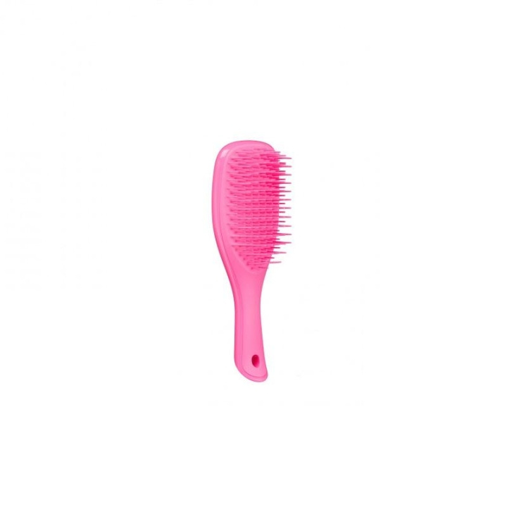 Tangle Teezer Wet Detangle Mini Pink ryhmässä KAUNEUS JA TERVEYS / Hiukset &Stailaus / Hiusharjat @ TP E-commerce Nordic AB (C11350)