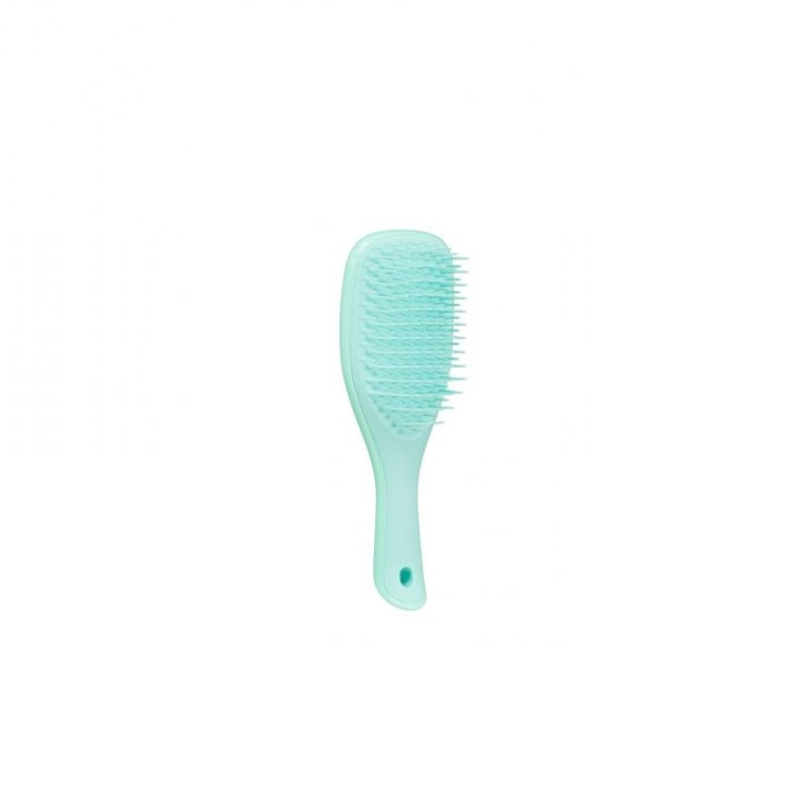 Tangle Teezer Wet Detangle Mini Light Blue ryhmässä KAUNEUS JA TERVEYS / Hiukset &Stailaus / Hiusharjat @ TP E-commerce Nordic AB (C11351)