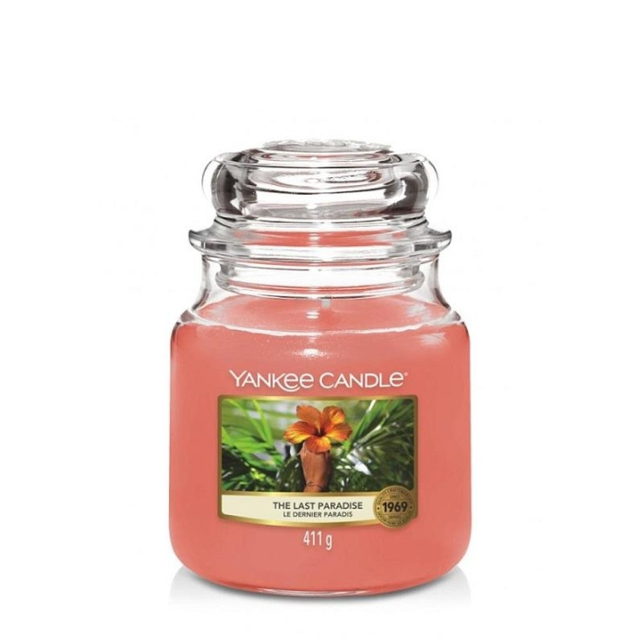 Yankee Candle Classic Medium Jar The Last Paradise 411g ryhmässä KAUNEUS JA TERVEYS / Tuoksut & Parfyymit / Muut tuoksut / Tuoksukynttilät @ TP E-commerce Nordic AB (C13306)