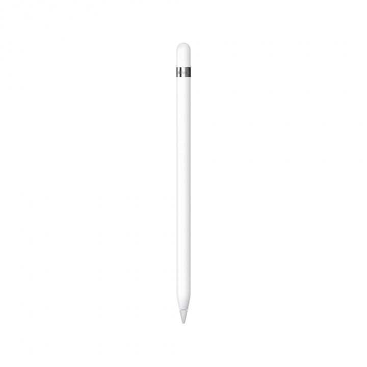 Apple Pencil (1st Generation) ryhmässä ÄLYPUHELIMET JA TABLETIT / Muut tarvikkeet / Muut @ TP E-commerce Nordic AB (C21294)