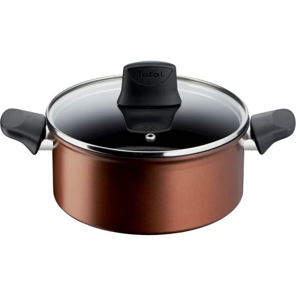 Tefal Kokkärl Resource Stewpot 20 cm + Lid G2534453 Tefal ryhmässä KOTI, TALOUS JA PUUTARHA / Keittiövälineet / Padat ja kattilat @ TP E-commerce Nordic AB (C21976)