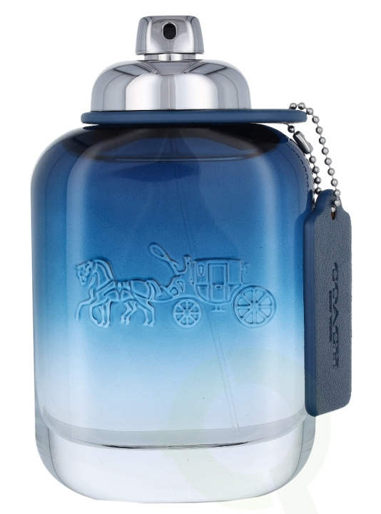 Coach Blue Edt Spray 100 ml ryhmässä KAUNEUS JA TERVEYS / Tuoksut & Parfyymit / Parfyymit / Miesten Tuoksut @ TP E-commerce Nordic AB (C34069)