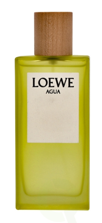 Loewe Agua Edt Spray 100 ml ryhmässä KAUNEUS JA TERVEYS / Tuoksut & Parfyymit / Parfyymit / Naisten Tuoksut @ TP E-commerce Nordic AB (C34076)