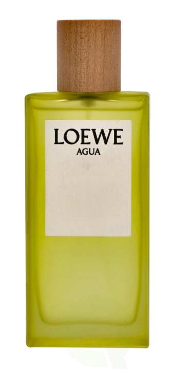 Loewe Agua Edt Spray 100 ml ryhmässä KAUNEUS JA TERVEYS / Tuoksut & Parfyymit / Parfyymit / Naisten Tuoksut @ TP E-commerce Nordic AB (C34076)