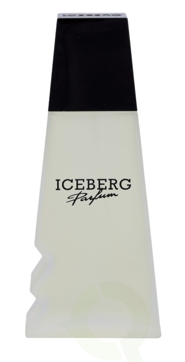 Iceberg Femme Edt Spray 100 ml ryhmässä KAUNEUS JA TERVEYS / Tuoksut & Parfyymit / Parfyymit / Naisten Tuoksut @ TP E-commerce Nordic AB (C34234)