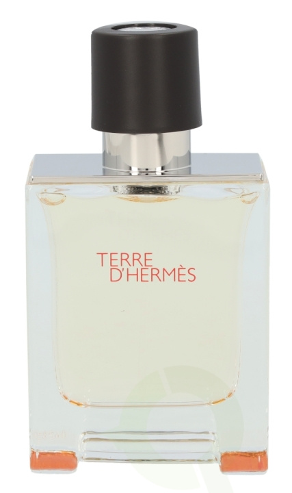 Hermes Terre D\'Hermes Edt Spray 50 ml ryhmässä KAUNEUS JA TERVEYS / Tuoksut & Parfyymit / Parfyymit / Miesten Tuoksut @ TP E-commerce Nordic AB (C34508)