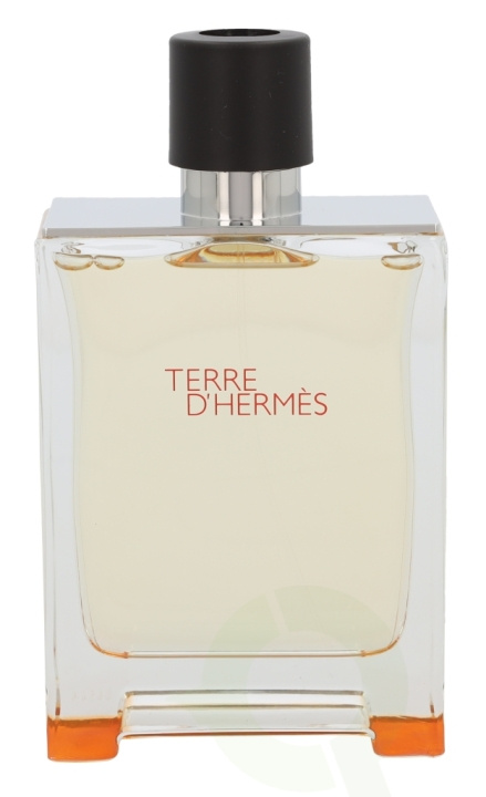 Hermes Terre D\'Hermes Edt Spray 200 ml ryhmässä KAUNEUS JA TERVEYS / Tuoksut & Parfyymit / Parfyymit / Miesten Tuoksut @ TP E-commerce Nordic AB (C34509)
