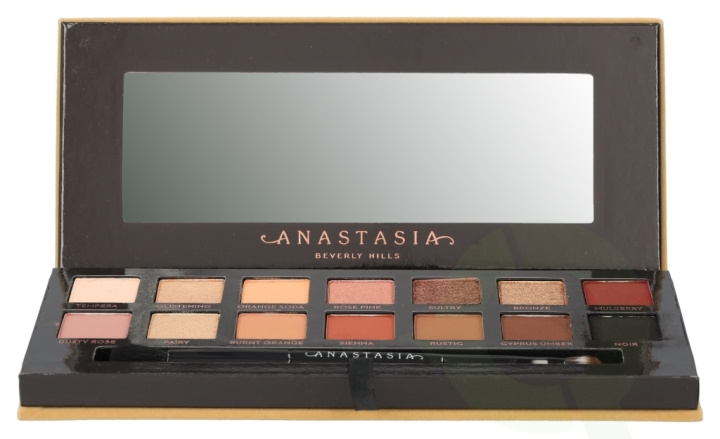 Anastasia Beverly Hills Soft Glam Eyeshadow Palette 10.3 gr 14x0,74gr/Duo Shadow Brush ryhmässä KAUNEUS JA TERVEYS / Meikit / Silmät ja kulmat / Luomivärit @ TP E-commerce Nordic AB (C42197)