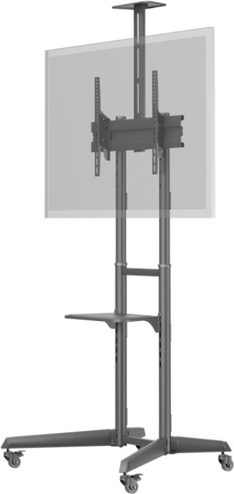 Goobay TV-presentationsstativ Pro (storlek L) för TV-apparater och monitorer mellan 37 och 70 tum (94-178 cm) upp till 50 kg, vinklingsbar ryhmässä KODINELEKTRONIIKKA / Ääni & Kuva / TV & Tarvikkeet / Seinäkiinnitys @ TP E-commerce Nordic AB (C44076)