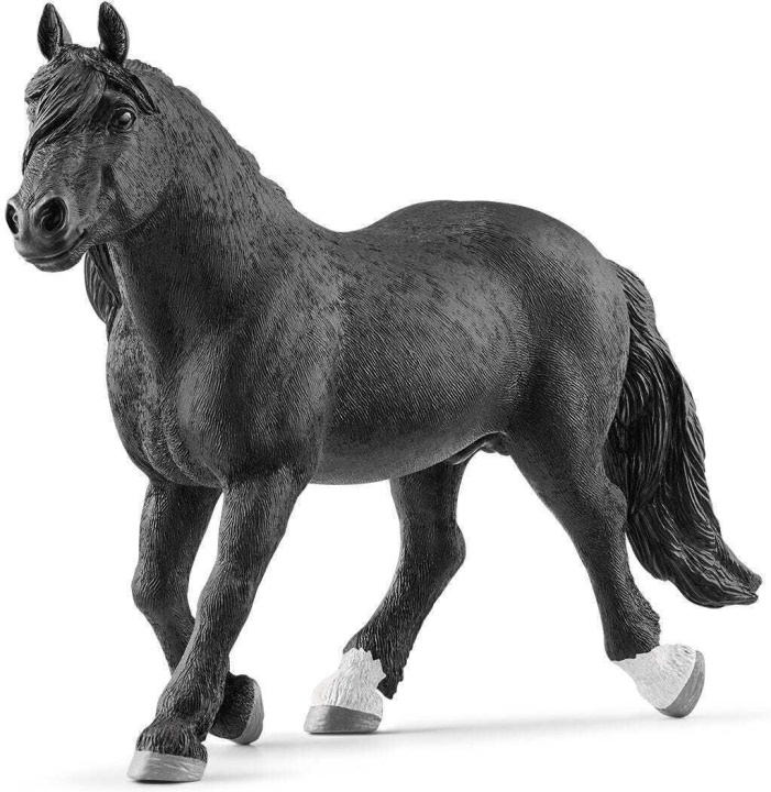 Schleich Horse Club 13958 Noricuminhevosori ryhmässä LELUT, TUOTTEET LAPSILLE JA VAUVOILLE / Leikkikalut, Askartelu &Pelit / Figuurit, miniatyyrit ja tarvikkeet @ TP E-commerce Nordic AB (C47858)