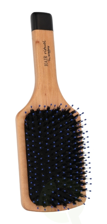 Sisley The Shine and Softness Brush 1 Piece Hair & Scalp Care ryhmässä KAUNEUS JA TERVEYS / Hiukset &Stailaus / Hiusharjat @ TP E-commerce Nordic AB (C55830)