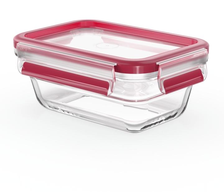 Tefal MasterSeal Glass -säilytysrasia, lasinen, 0,45 L ryhmässä KOTI, TALOUS JA PUUTARHA / Keittiövälineet / Lounaslaatikot & Ruokasäiliö @ TP E-commerce Nordic AB (C58184)