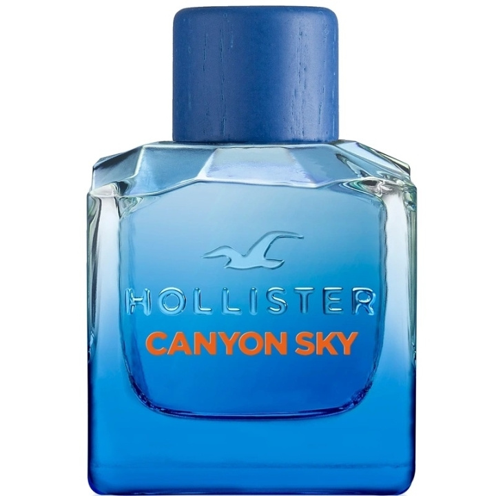 Hollister Canyon Sky For Him Edt 100ml ryhmässä KAUNEUS JA TERVEYS / Tuoksut & Parfyymit / Parfyymit / Miesten Tuoksut @ TP E-commerce Nordic AB (C62239)